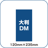 大判