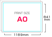 A0