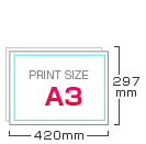 A3