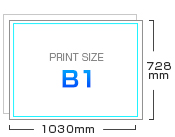 B1