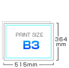 B3
